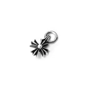 Ch Plus Charm
